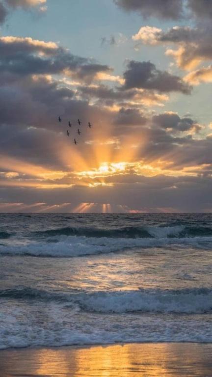 Amelia Island Oceanfront Condo Amelia City Buitenkant foto