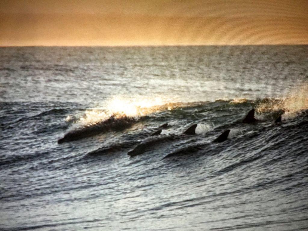Amelia Island Oceanfront Condo Amelia City Buitenkant foto